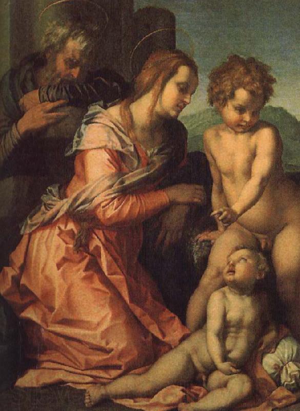 Andrea del Sarto Holy Family Spain oil painting art